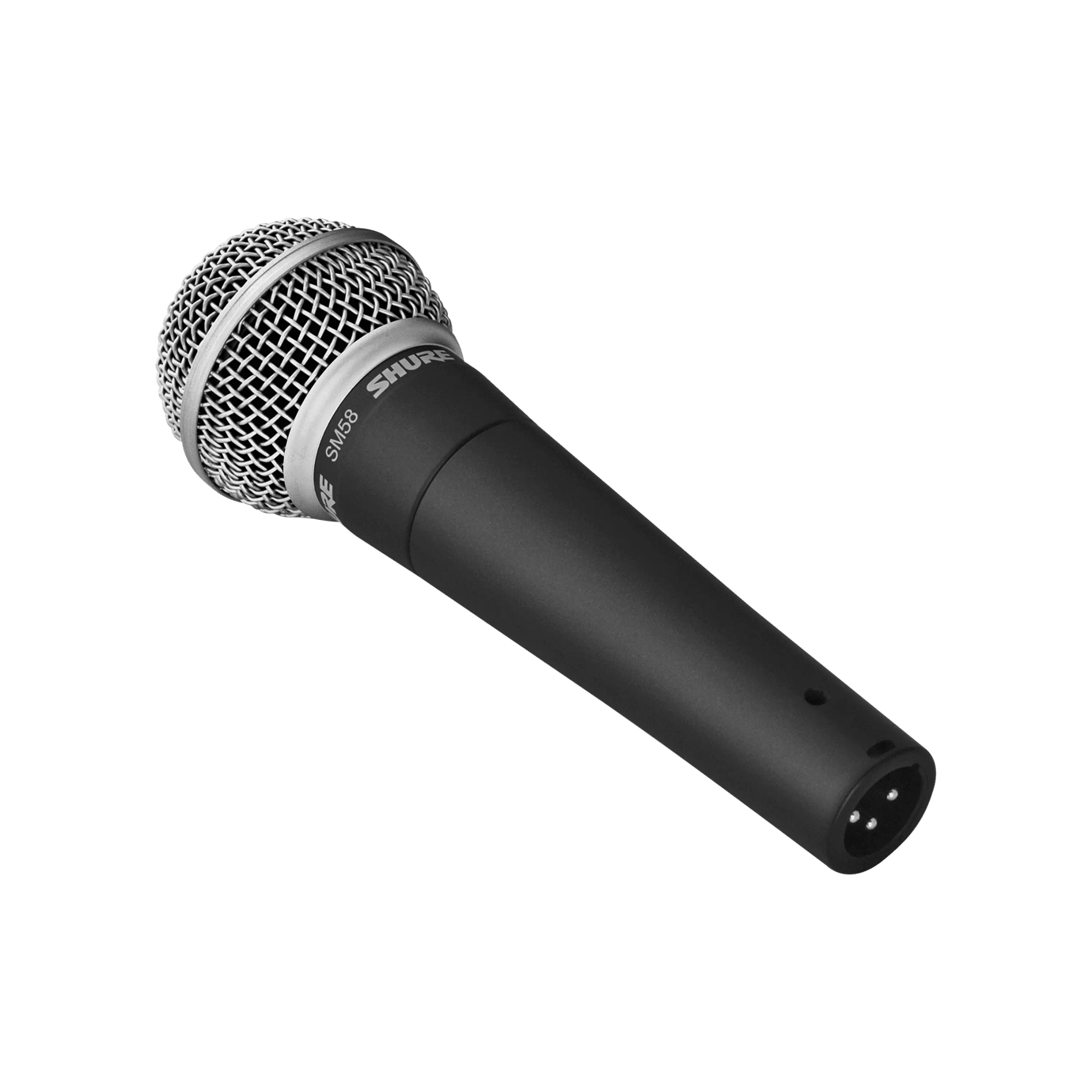 Shure SM58 mic